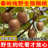 秦岭大山采摘的有毛野生小猕猴桃新鲜采摘孕妇水果绿心5斤包邮甜 5斤精选野生猕猴桃40-70g大果