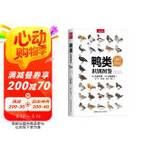 鸭类识别图鉴（观鸟人的“鸭宝书”，54种鸭类的“全羽衣”图鉴）图书书香节