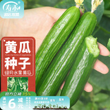 寿禾 旱黄瓜种子强雌籽种各种水果青瓜夏秋四季蔬菜寿光种籽 强雌绿月水果黄瓜种子100粒