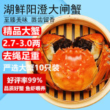 【活蟹】湖鲜阳澄 大闸蟹 去绳足重 2.7-3.0两 10只 鲜活六月黄现货超大螃蟹生鲜礼盒装