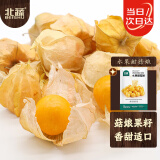 北蔬 菇娘果种子种苗灯笼果黄姑娘盆栽水果种籽 水果甜菇娘种子200粒