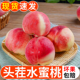 山西水蜜桃 现摘新鲜当季应季时令水果整箱桃子脆甜软硬两吃 整箱5斤单果115-180g净4.5斤