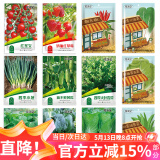 花沃里12款蔬菜种子 黄瓜西红柿草莓香菜薄荷生菜辣椒白菜菠菜香葱种籽