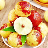 初灿陕西大荔冬枣新鲜大枣鲜枣当季水果礼盒脆枣甜枣牛奶脆甜大枣整箱 颗颗甄选5斤