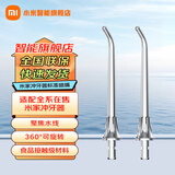 小米（MI） 米家电动冲牙器2 家用洗牙器美牙仪 牙齿冲洗器清洁器 口腔护理  3档模式 专业微气泡喷嘴长续航 米家冲牙器标准喷嘴 2支喷头
