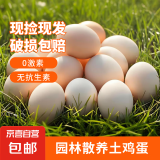 大码鸡蛋50g正负5g/枚散养土鸡蛋新鲜鸡蛋溏心蛋早餐必备京东包邮 10枚土鸡蛋50g