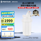 滨特尔（pentair）大白瓶前置过滤器 全屋家用自来水过滤器 前置净水器大蓝瓶 中央净水机大流量大胖瓶高精度 【10寸大白瓶】包安装