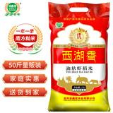 湖鑫星 西湖香油粘虾稻米 油粘米 南方籼米 湖北长粒大米50斤