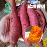 渠首红绿色食品认证西瓜红蜜薯新鲜红薯红心地瓜糖心烤番薯软糯香甜无丝 净重9斤装 精选红心蜜薯中果 3-6两左右