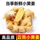 莲山九鲜新鲜云南小黄姜当季生姜老姜批发沙姜蔬菜嫩姜仔姜 品质小黄姜3斤（净重）