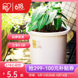 爱丽思（IRIS）Deepot花盆加厚树脂控根圆口绿萝绣球蔷薇月季塑料花盆  5号白色(口径约17cm)无盆托