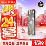 GETEA移动硬盘固态长江存储颗粒NVMe高速大容量笔记本外置游戏存储盘Type-C接口手机电脑两用SSD固态 【加密版4TB】灰色（长江存储晶圆）