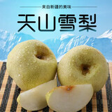 果益寿新疆天山雪梨 应季水果梨子新鲜脆梨雪贡梨双11百亿补贴水果礼盒 5斤装