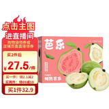 京鲜生 白心奶油芭乐 番石榴 轻微红点 净重3斤 单果150g+ 水果礼盒