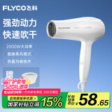 飞科（FLYCO）电吹风机家用发廊大功率2000W速干恒温便携可折叠白色FH6232