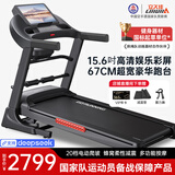 立久佳（lijiujia）跑步机家庭用智能降噪可折叠免安装走步机宽大跑台-暴汗猛犸 电动爬坡/15.6吋彩屏/67CM跑台多