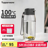 特百惠（Tupperware）乐趣550ML塑料杯夏季男女学生便携运动水杯子大容量双饮口 都市灰