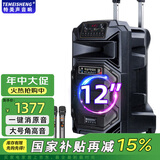TEMEISHENG 特美声SL12-31广场舞音响户外低音炮大音量家用k歌唱歌便携式蓝牙移动户外音响大功率蓝牙音箱 12寸标配+2支无线话筒+大礼包