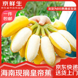 京鲜生 海南皇帝香蕉 净重3斤单果100g 新鲜水果小米苹果蕉生鲜特产包邮