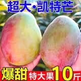 壹萌果蔬凯特芒芒果 当季现摘四川大芒果新鲜水果水仙青芒果整箱送礼 5斤臻品果【单果350g+】 净重4.5斤