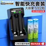 德力普（Delipow）充电电池 5号电池2500mAh大容量适用KTV话筒/麦克风/数码相机/鼠标键盘/电动玩具等