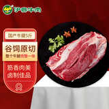 伊赛（yisai）国产黄牛 原切整块牛腱5斤（整腱一块） 谷饲 清真 炖煮 源头直发