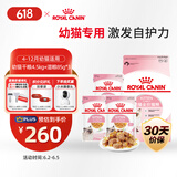 皇家猫粮 幼猫猫粮 干湿搭配 K36 4.5kg+啫喱肉冻KJP 85G*3