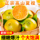 甜果源  重庆三峡夏橙 甜橙子高山薄皮冰糖甜橙子脐橙子当季新鲜水果 净重4.8-5斤 单果60-65mm【80%人选择】