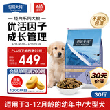 伯纳天纯经典系列中/大型幼犬犬粮 拉布拉多德牧金毛哈士奇通用15kg/30斤