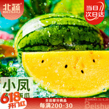 北蔬 西瓜种子种苗早熟黄心黄肉超甜西瓜水果籽 小凤黄瓤西瓜种子60粒