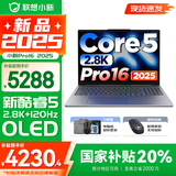 联想小新16/小新Pro16可选 AIGC超能本 2025补贴 大屏轻薄笔记本电脑 商务办公设计游戏本 标压酷睿版 Pro16｜二代Core5 24G 1TB国家补贴 16英寸 微边框高清全面屏