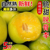 甜盟 四川正宗脱骨青脆李【多地区次日达】脆青红脆李当季新鲜水果 9斤净重精选（巨划算） 果王巨无霸（单果20g+）