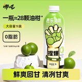 哪吒芭乐油柑苹果柠檬果汁饮料品1L早餐聚餐下午茶0脂肪含维C