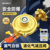 海立新国标煤气减压阀液化气燃气灶管家用铝合金防爆安全低压阀RJ243