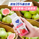 蒙牛纯甄缤纷果粒丹东草莓芭乐味风味酸牛乳利乐冠200g×10瓶 礼盒装