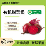 有机甜菜根新鲜红菜头甜菜头紫菜榨汁食疗配送蔬菜2/5斤装 顺丰 1000g 有机甜菜根