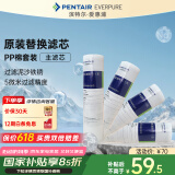 爱惠浦（Everpure）家用厨下 10吋/5微米 前置过滤各品牌通用净水器 PP棉滤芯4支装