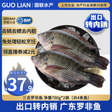 GUO LIAN国联水产三去罗非鱼4条共2.8斤净重非洲鲫鱼水产生鲜食材源头直发