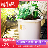 爱丽思（IRIS）Deepot花盆加厚树脂控根圆口绿萝绣球蔷薇月季塑料花盆 9号白色(口径约30cm)无盆托