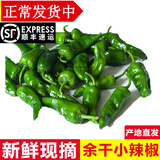 辰实【发顺丰】余干小辣椒 江西青椒 农家特产 新鲜现摘蔬菜 3斤 （青）