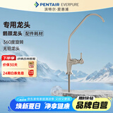 爱惠浦（Everpure）净水专用龙头