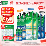好来(原黑人)热销榜双重薄荷2合1超白去烟渍去口气美白牙膏880g