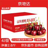 京地达山东大樱桃露天美早净重2.8斤4J超级巨无霸单果15g+源头直发包邮
