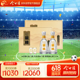 今世缘 国缘淡雅 幽雅醇厚型白酒 42度500mL*2盒装 618必买白酒
