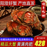 【活蟹】阳澄清歆大闸蟹 鲜活特大螃蟹公蟹母蟹 海鲜水产生鲜礼盒 公4.5-4.8两母3.5-3.8两 4对八只