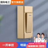 国际电工床头开关家用手捏明装按钮单控小开关电台灯船型开关按钮 金色单控开关