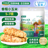 华田禾邦【新玉米】云南香糯小玉米2斤 新鲜甜黏玉米粒棒苞米 早餐代餐