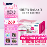 倍世（BWT） 第4代镁离子活力款滤芯 德国技术欧洲原装进口 过滤净水器家用滤水壶净水杯净水壶用 【镁离子】6只装