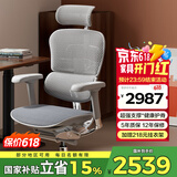 Ergonor保友金豪e 2代高端人体工学椅 电脑椅子 办公椅家用电竞椅老板椅 银白美国网(云感科技座垫) 整椅发货 送货上门