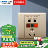 正泰（CHNT）漏电保护插座 大功率电器家用五孔插座86型暗装开关插座面板 五孔10A漏保插座 金